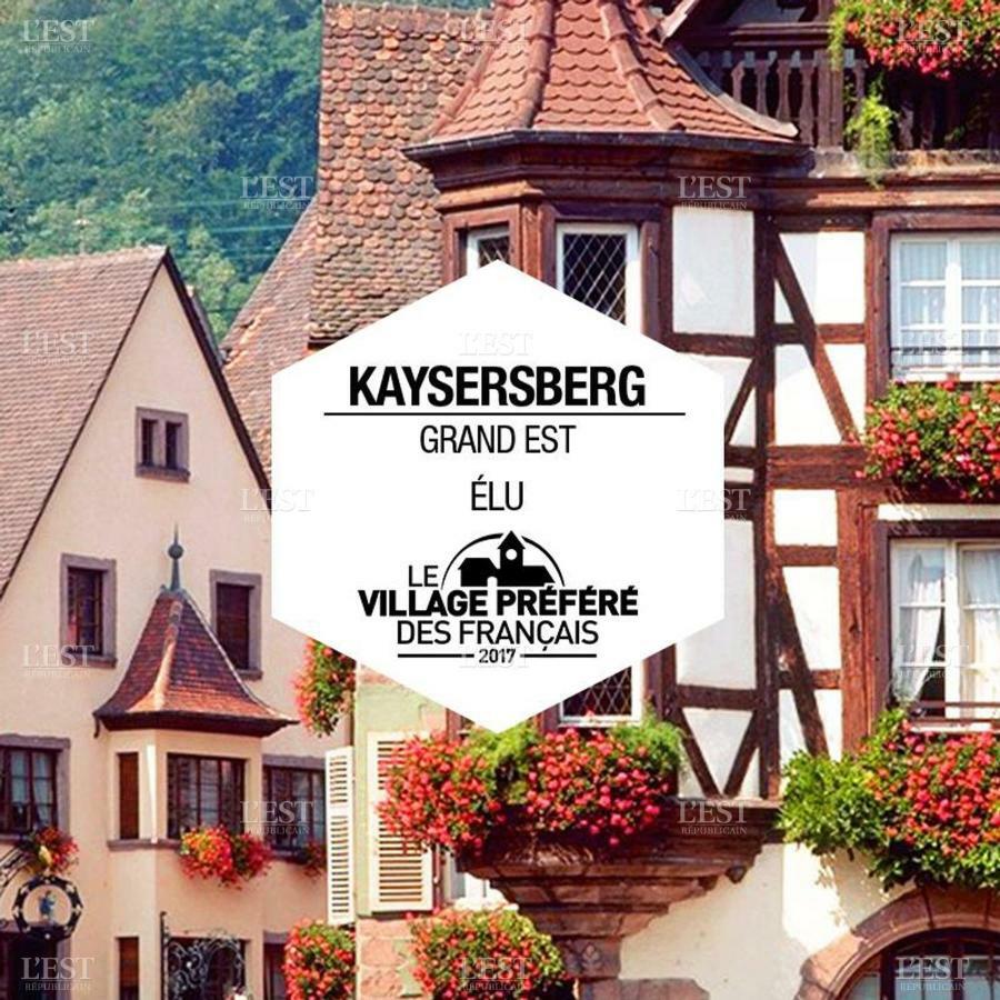 Venez loger chez l'habitant au centre de l'Alsace, à côté d'Europa Park ! Hotel Marckolsheim Exterior foto